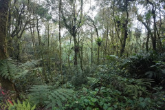 14feb-Cameroon-dji_mimo_20250214_090926_0_1739514531894_photo