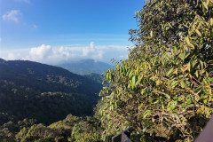 14feb-Cameroon-dji_mimo_20250214_094714_0_1739514407945_photo