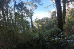 14feb-Cameroon-dji_mimo_20250214_095540_0_1739514377531_photo