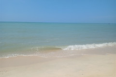 11feb-Penang-IMG20250211144436