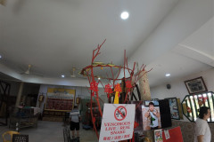 snake-temple-dji_mimo_20250211_110112_0_1739248182674_photo