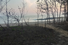09feb-bk-songhla-IMG20250209064740