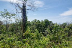 25feb-Kampotl-Bokor-Kaep-IMG20250225113436