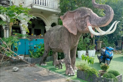 01mart-Sihanouk-IMG20250301154242