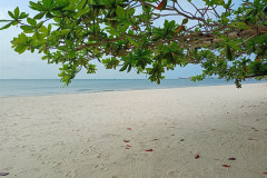 01mart-Sihanouk-IMG20250301160728