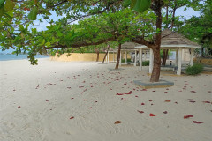 01mart-Sihanouk-IMG20250301160748