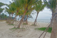 26feb-Sihanouk-IMG20250226135840