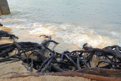 27feb-Sihanouk-IMG20250227094759