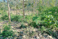 2026-01-14_16-Luang-Probang-les