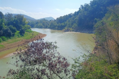 2026-01-14_16-Luang-Probang-reka-4