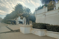 2026-01-14_16-Luang-Probang-slony-statui