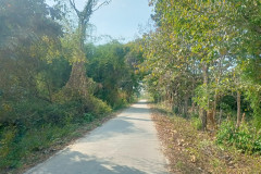 2026-01-20_21-Laos-isl-Don-Det-les