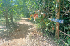 2026-01-22-Laos-Pakse-Cham-Pee-Waterfall-3