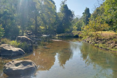 2026-01-22-Laos-Pakse-Gneuang-Waterfall-10