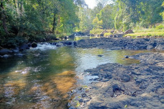 2026-01-22-Laos-Pakse-Gneuang-Waterfall-13