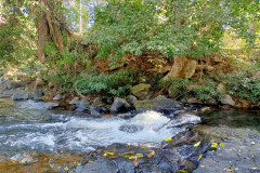 2026-01-22-Laos-Pakse-Gneuang-Waterfall-15