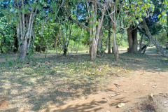 2026-01-22-Laos-Pakse-Gneuang-Waterfall-41