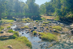 2026-01-22-Laos-Pakse-Gneuang-Waterfall-6