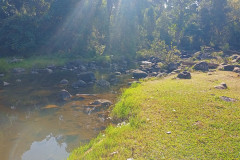 2026-01-22-Laos-Pakse-Gneuang-Waterfall-9