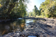 2026-01-22-Laos-Pakse-Tad-Gneuang-Waterfall-2