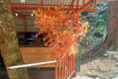 2026-01-17-Vang-Vieng-BlueLaggoon-klen