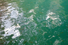 2026-01-17-Vang-Vieng-BlueLaggoon-voda