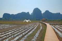 2026-01-17-Vang-Vieng-mesto-obeda-1