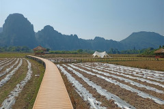 2026-01-17-Vang-Vieng-mesto-obeda-2