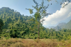 2026-01-16-Vang-Vieng-poezdka-k-Pha-Ngern-Silver-Cliff-View-Point-7