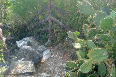 Danang-19-marta-2026-The-Marble-Mountains-Kaktusy-u-tropinki