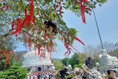 Danang-18-marta-2026-Son-Tra-11