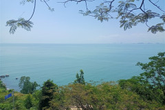 Danang-18-marta-2026-Son-Tra-Obzornaya