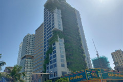 Danang-17-marta-2026-dom-s-kustami