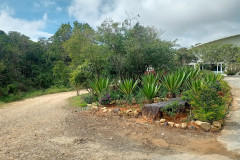 2025-12-26-Kampot-BOKOR-Popokvil-Waterfall-2