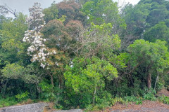 2025-12-26-Kampot-BOKOR-Popokvil-Waterfall-4