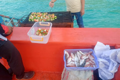 2025-12-29-KohRong-food-shashlyk-ovoshhnoj-2