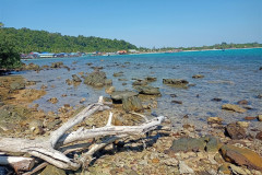 2026-01-02-Koh-Rong-gold-beach-kamni-derevo