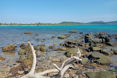 2026-01-02-Koh-Rong-gold-beach-kamni-vetka