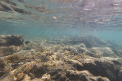 2025-12-30-Koh-Rong-Lonely-Beach-pod-vodoj-kamni-1