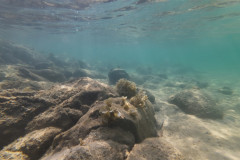 2025-12-30-Koh-Rong-Lonely-Beach-pod-vodoj-kamni-11