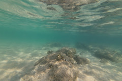 2025-12-30-Koh-Rong-Lonely-Beach-pod-vodoj-kamni-20