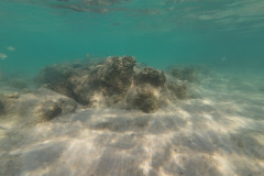 2025-12-30-Koh-Rong-Lonely-Beach-pod-vodoj-kamni-27