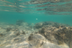 2025-12-30-Koh-Rong-Lonely-Beach-pod-vodoj-kamni-28