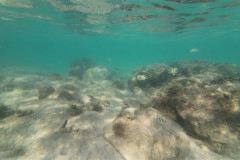 2025-12-30-Koh-Rong-Lonely-Beach-pod-vodoj-kamni-30