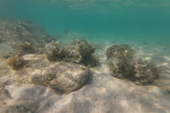 2025-12-30-Koh-Rong-Lonely-Beach-pod-vodoj-kamni-34