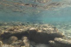 2025-12-30-Koh-Rong-Lonely-Beach-pod-vodoj-kamni-9