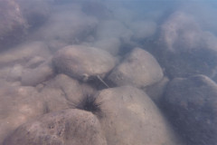 2026-01-02-Koh-Rong-Koh-Rong-Lonely-Beach-pod-vodoj-ezh-1