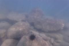 2026-01-02-Koh-Rong-Koh-Rong-Lonely-Beach-pod-vodoj-ezh-2