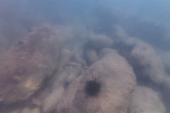 2026-01-02-Koh-Rong-Koh-Rong-Lonely-Beach-pod-vodoj-ezh-3