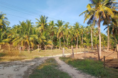 2026-01-02-Koh-Rong-doroga-k-lonely-beach